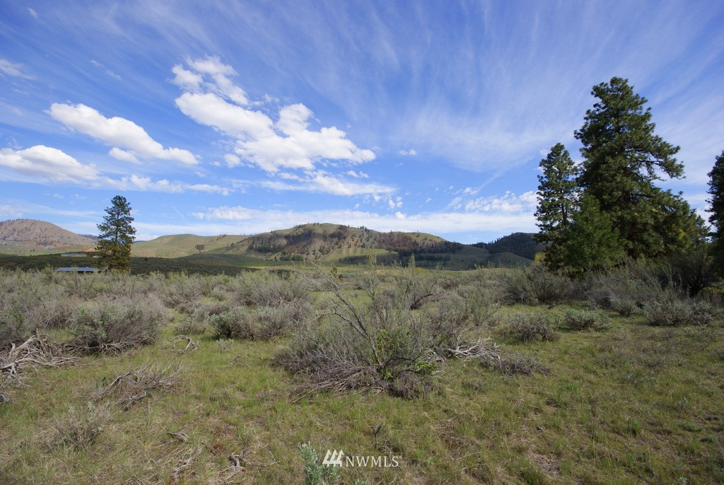 56 Lower Beaver Creek Road Twisp, WA 98856 - Photo 3 of 24 Gallery Image 3