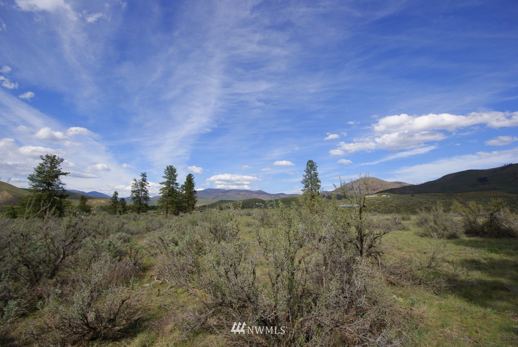 56 Lower Beaver Creek Road Twisp, WA 98856 - Photo 22 of 24 Gallery Image 22