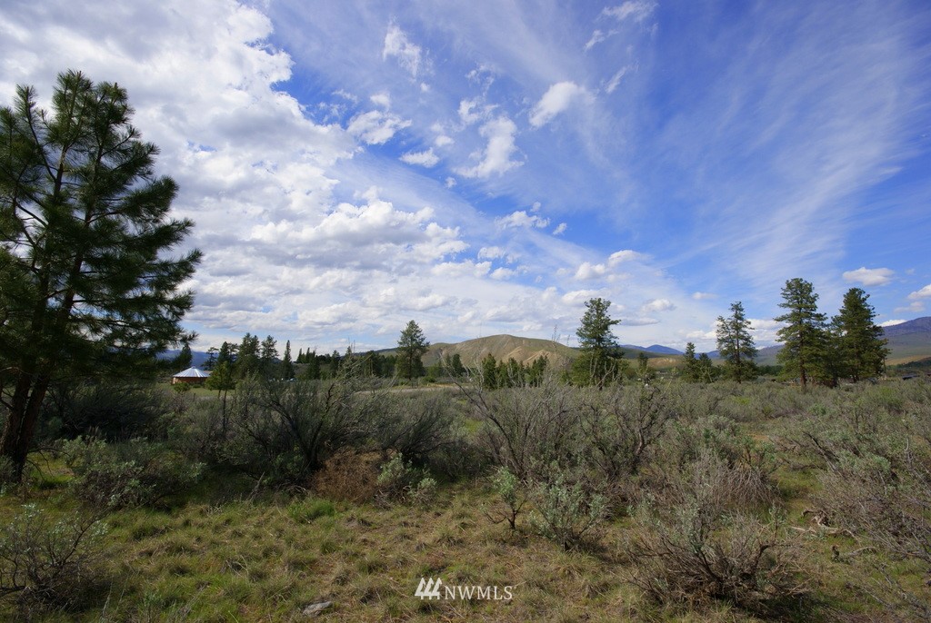 56 Lower Beaver Creek Road Twisp, WA 98856 - Photo 23 of 24 Gallery Image 23