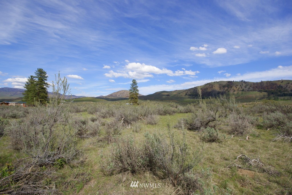 56 Lower Beaver Creek Road Twisp, WA 98856 - Photo 24 of 24 Gallery Image 24