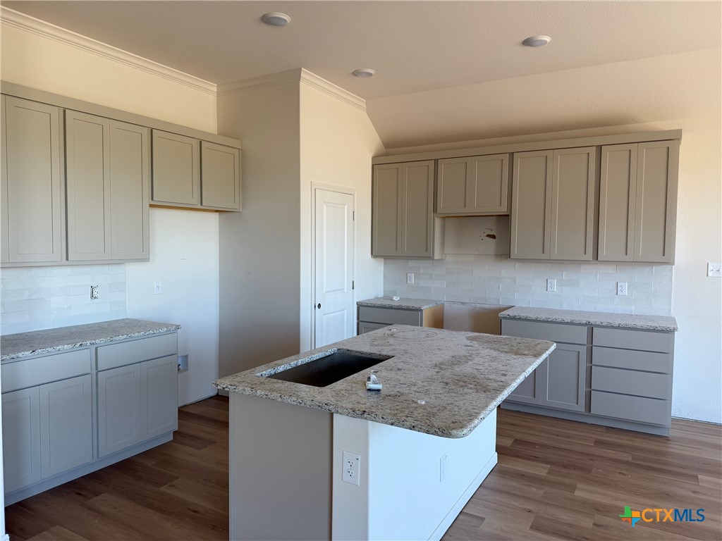 7110 Touchstone Drive Temple, TX 76502 - Photo 4 of 9 a kitchen with a sink dishwasher and cabinets with wooden floor