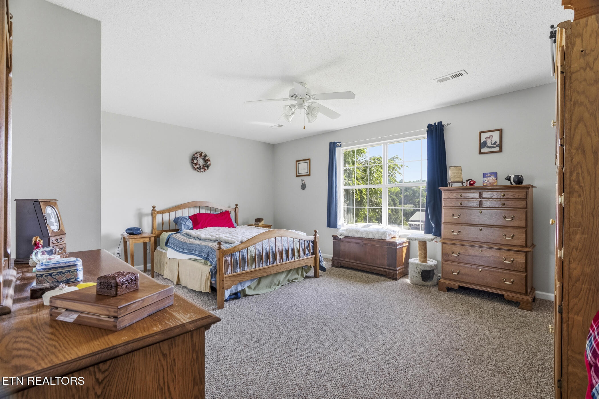 1324 Prairie Place Greenback, TN 37742 - Photo 24 of 39 dsc05210
