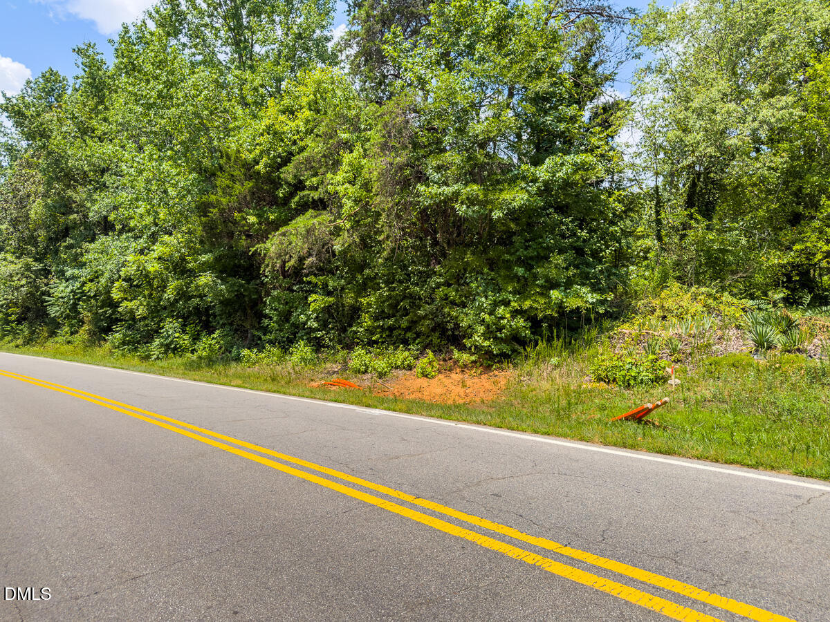 0 Park Springs Road Ruffin, NC 27326 - Photo 28 of 31 Caswell Co. NC 7.19-COA-28