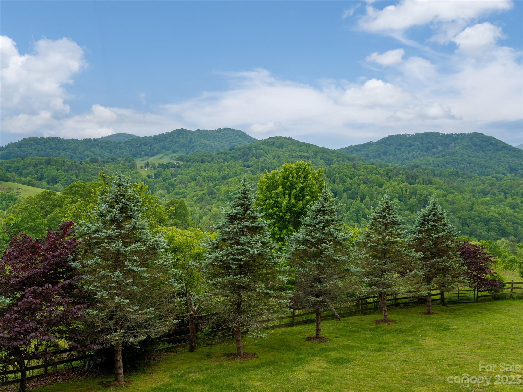 323 Lucky Lane Clyde, NC 28721 - Photo 12 of 48