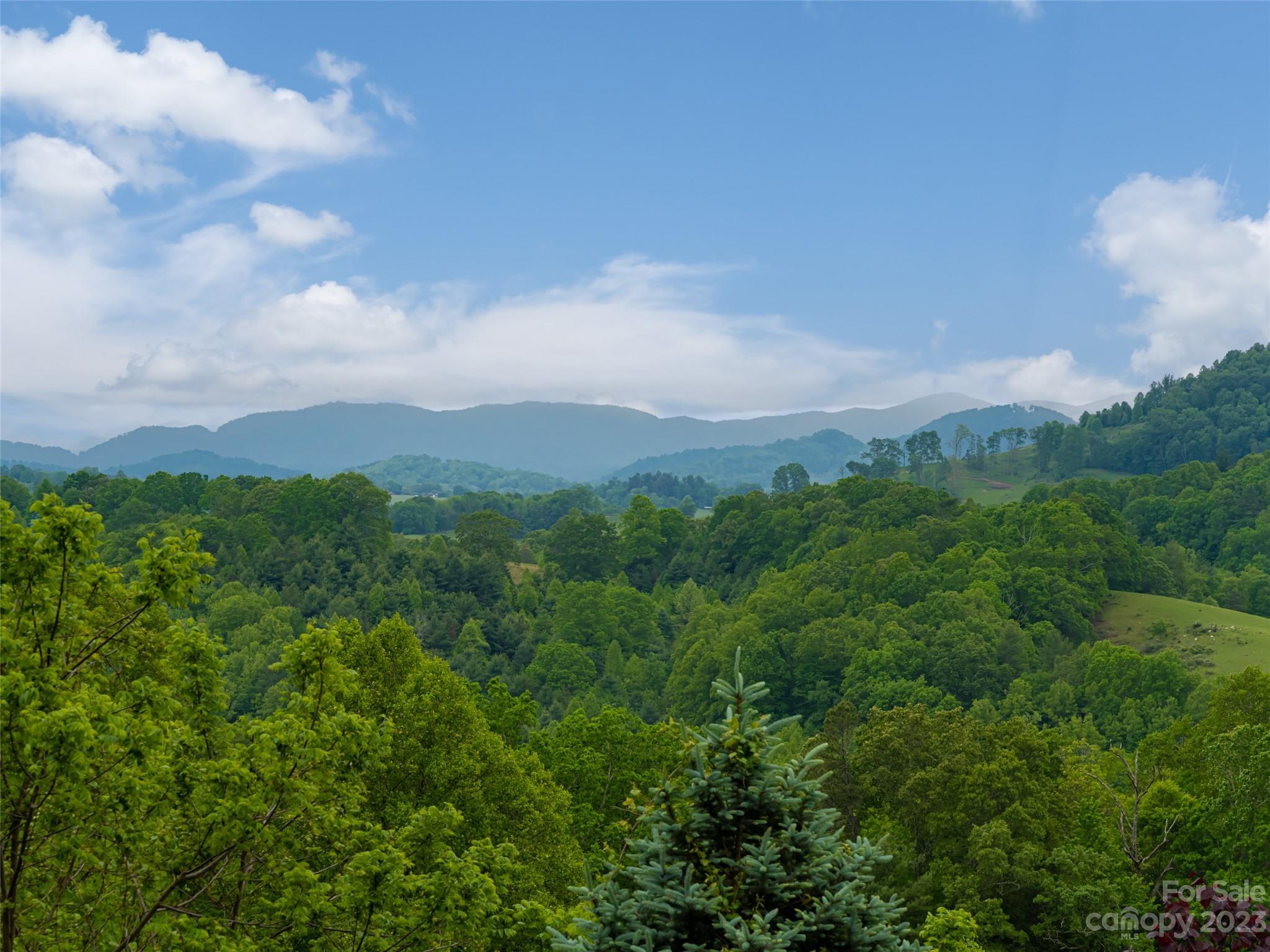323 Lucky Lane Clyde, NC 28721 - Photo 13 of 48 a view of a city with lush green forest
