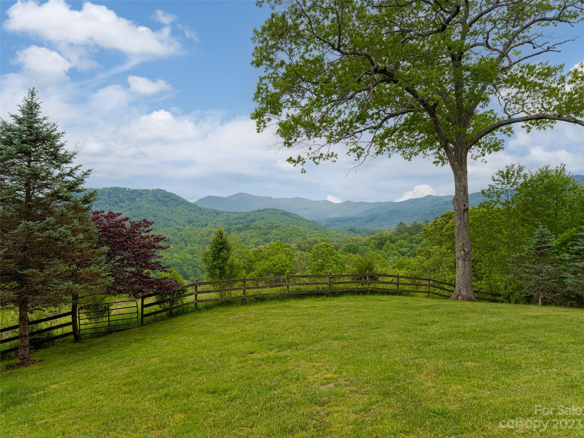 323 Lucky Lane Clyde, NC 28721 - Photo 6 of 48