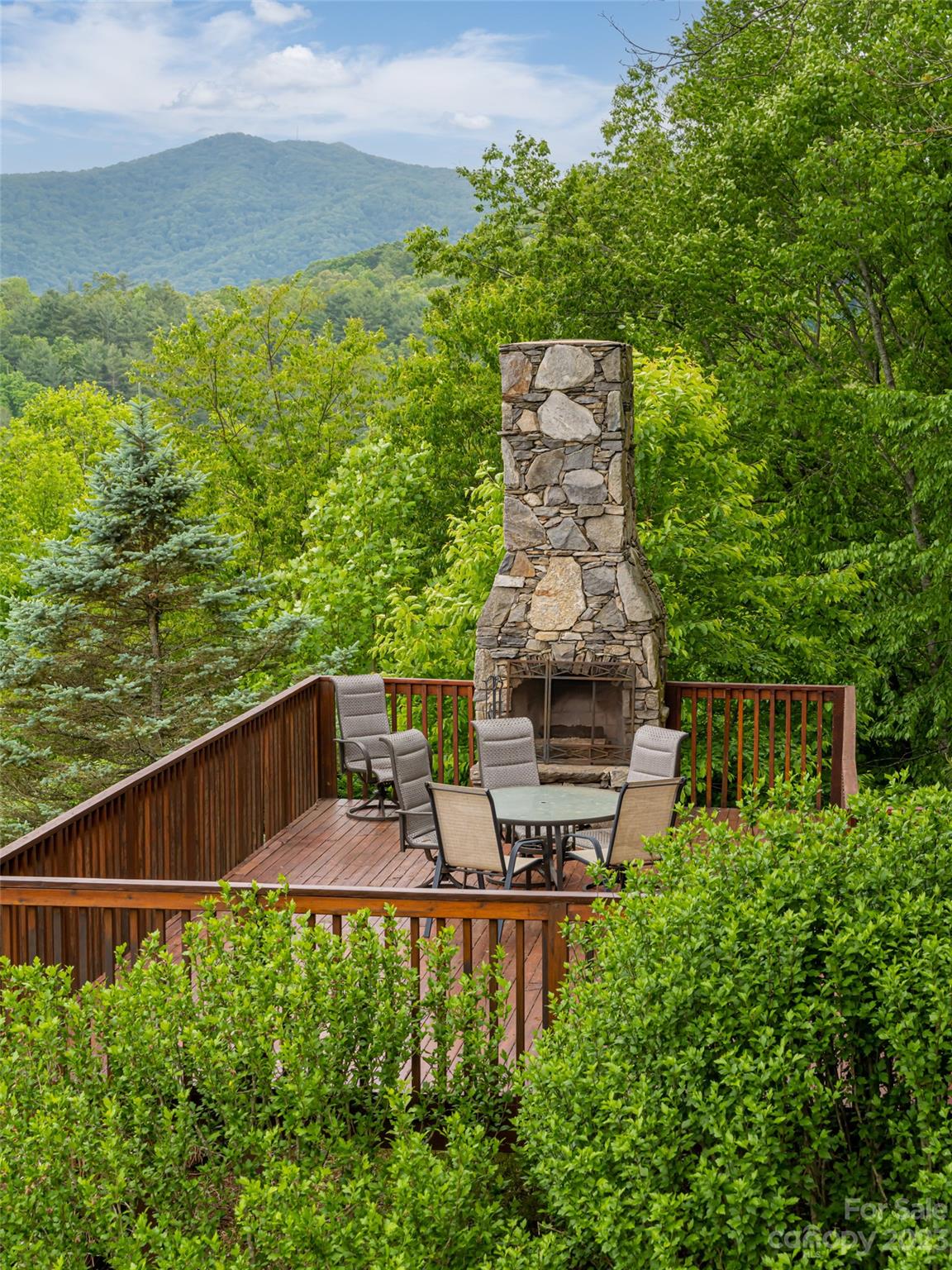 323 Lucky Lane Clyde, NC 28721 - Photo 8 of 48