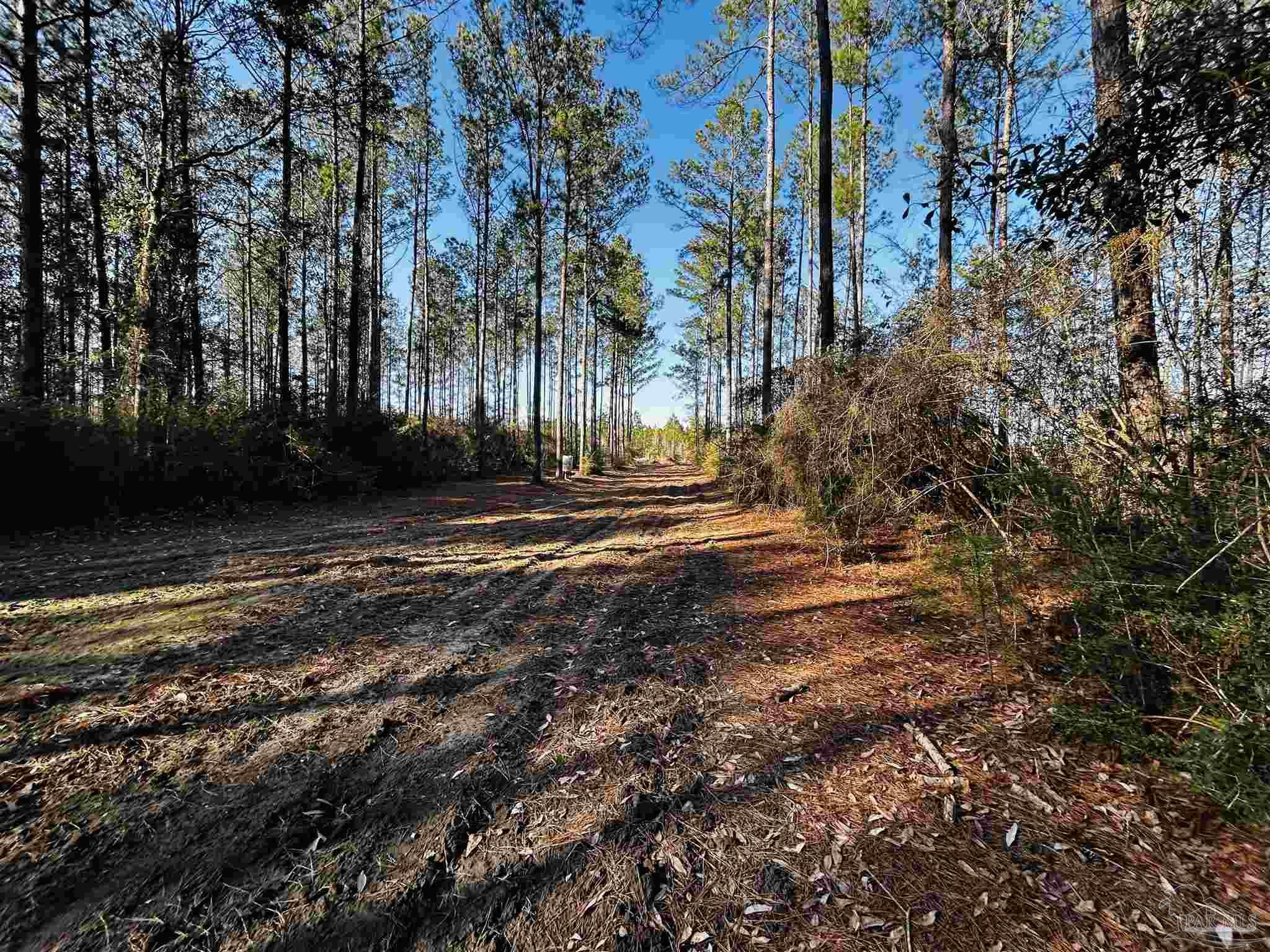 Lot 406 Country Mill Road Jay, FL 32565 - Photo 6 of 10