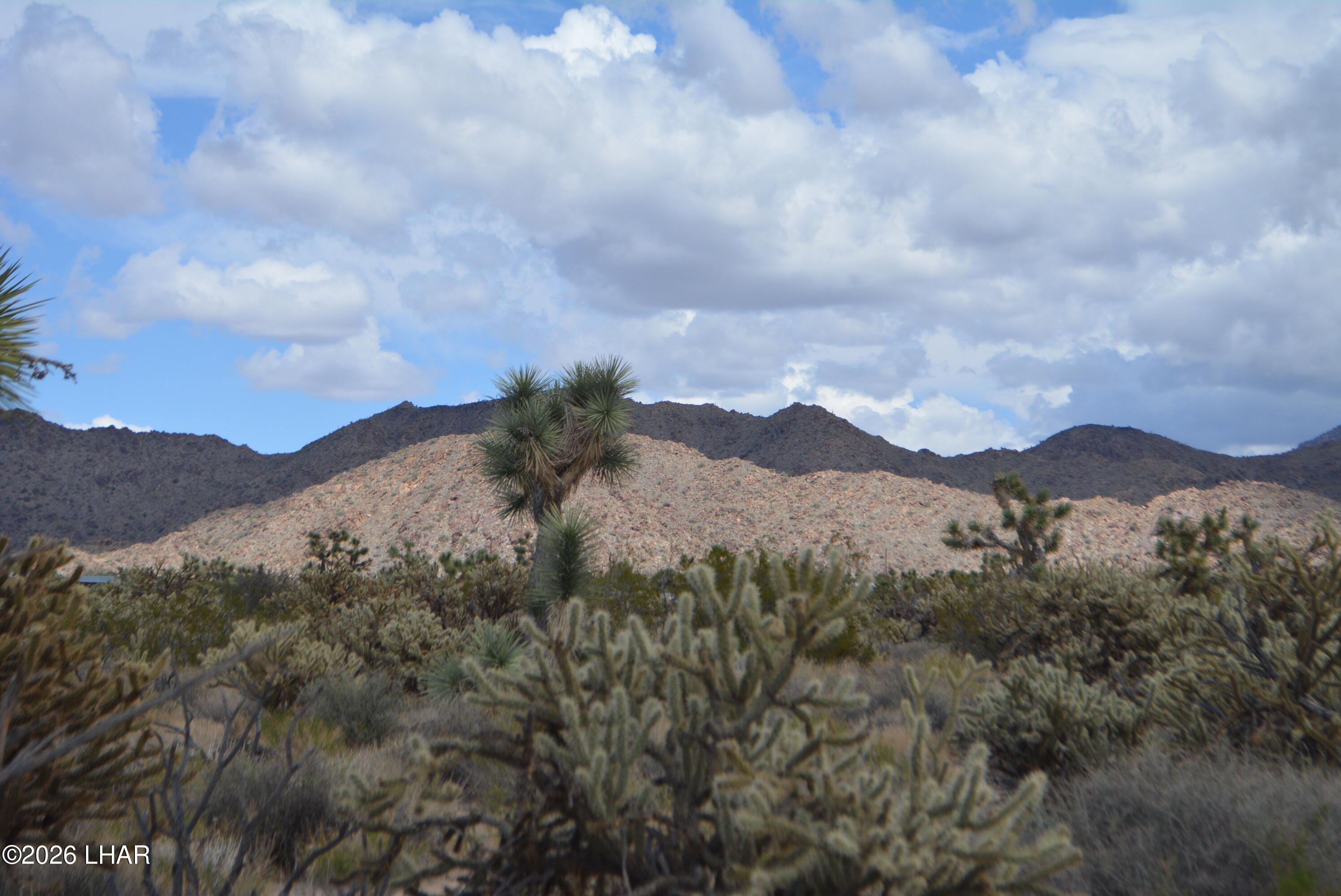 11900 Alan Road Yucca, AZ 86438 - Photo 70 of 93 DSC_1376