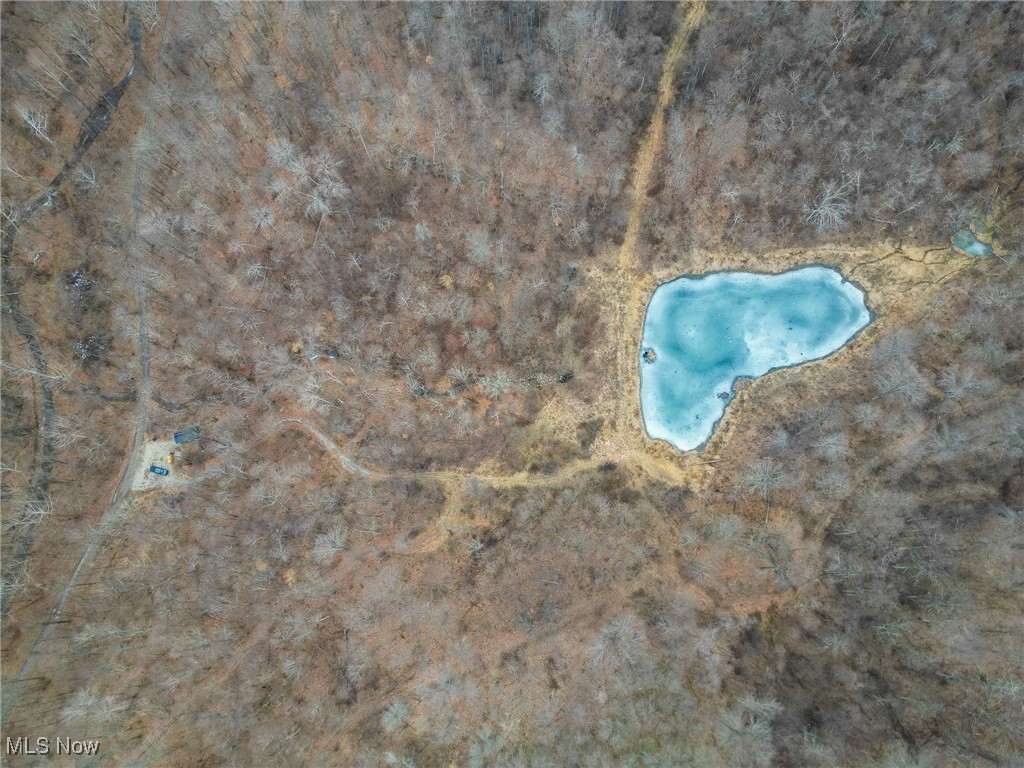 Shrimp Run Road Caldwell, OH 43724 - Photo 29 of 43 Bird's eye view