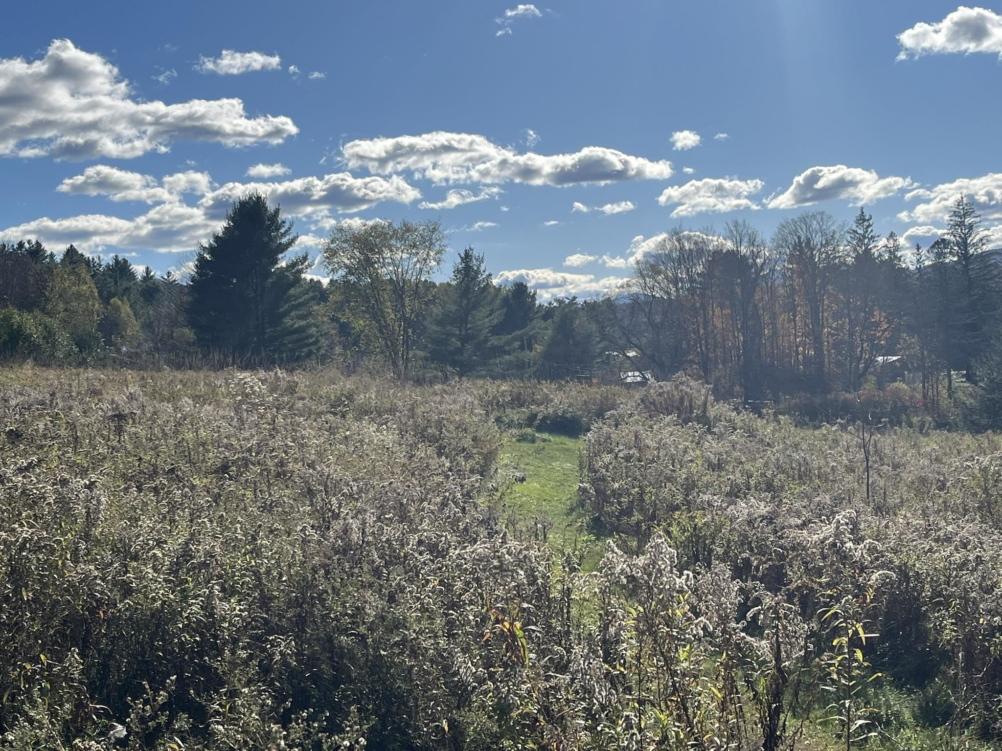 0 Old Farm Road, Unit C Stowe, VT 05672 - Photo 15 of 25
