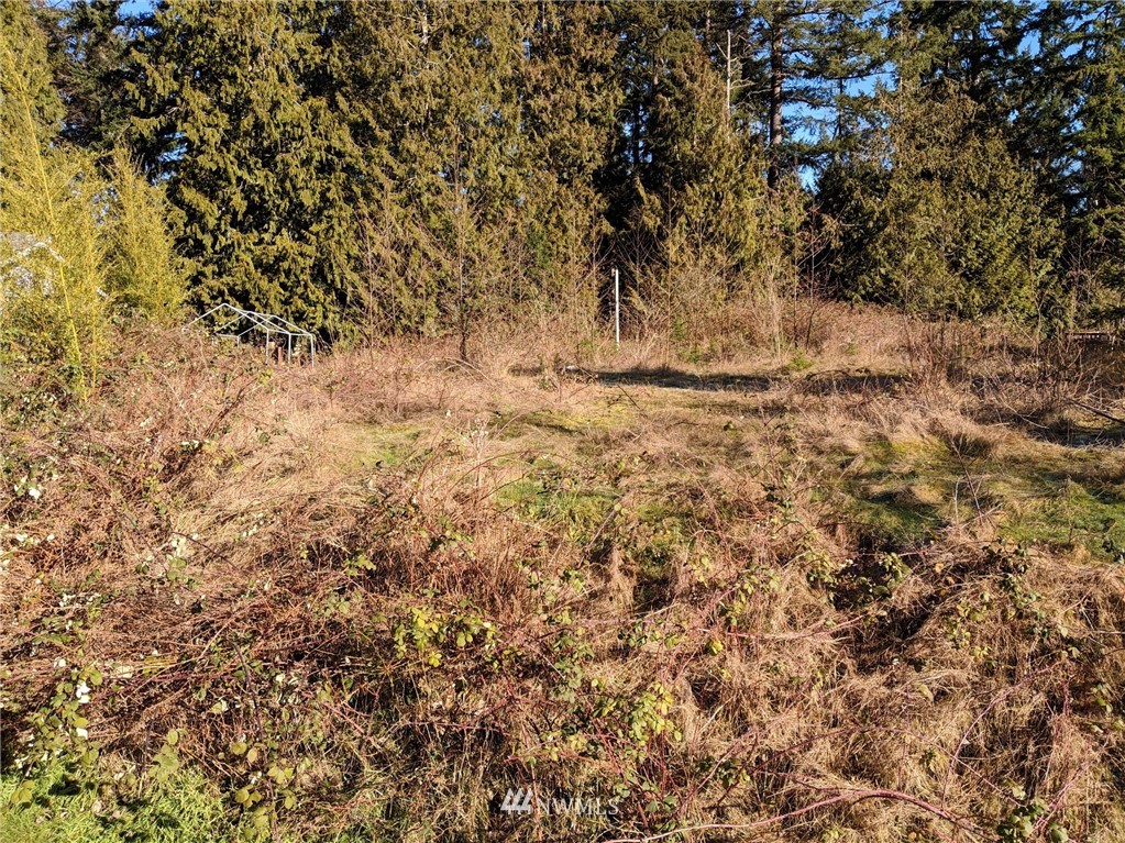 3681 Casey Street Clinton, WA 98236 - Photo 1 of 9 Gallery Image 1