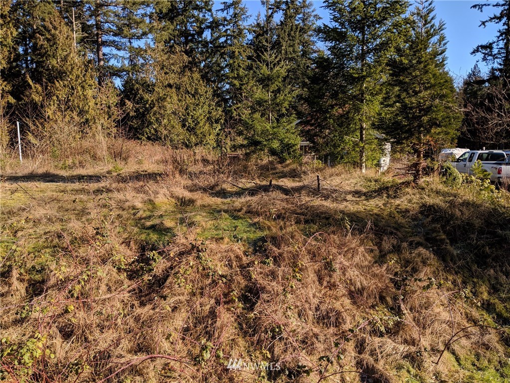 3681 Casey Street Clinton, WA 98236 - Photo 2 of 9 Gallery Image 2