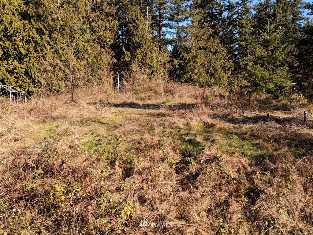 3681 Casey Street Clinton, WA 98236 - Photo 3 of 9 Gallery Image 3