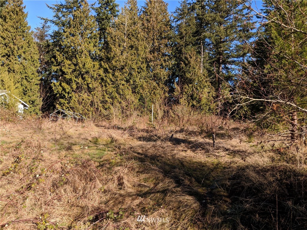 3681 Casey Street Clinton, WA 98236 - Photo 4 of 9 Gallery Image 4
