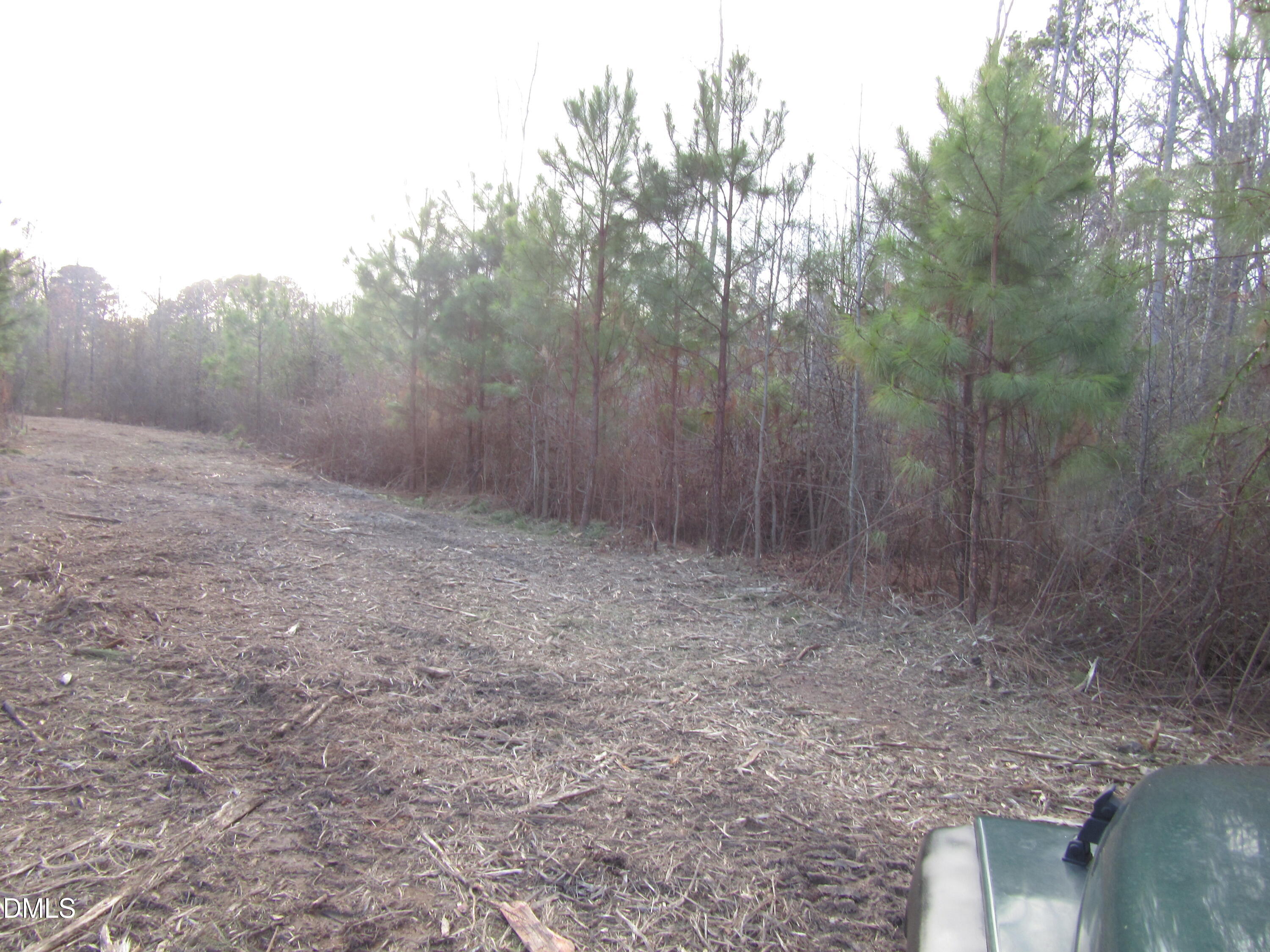 2.40-acres Pearces Road Zebulon, NC 27597 - Photo 4 of 8 IMG_1678