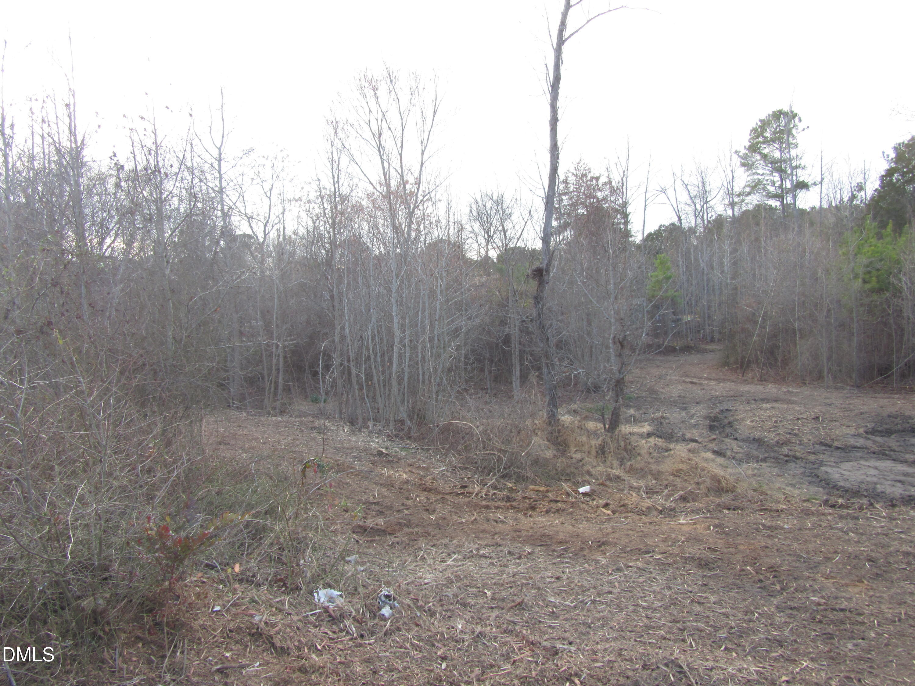 2.40-acres Pearces Road Zebulon, NC 27597 - Photo 7 of 8 IMG_1681