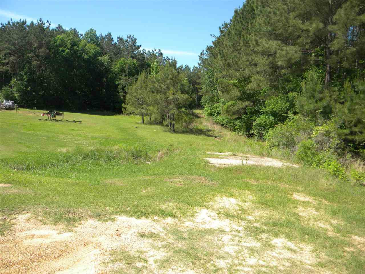 0 Limestone Cove Terry, MS 39170 - Photo 1 of 4 Photo 1