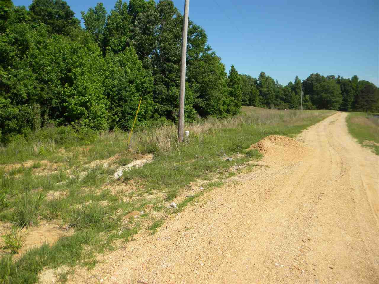 0 Limestone Cove Terry, MS 39170 - Photo 2 of 4 Photo 2