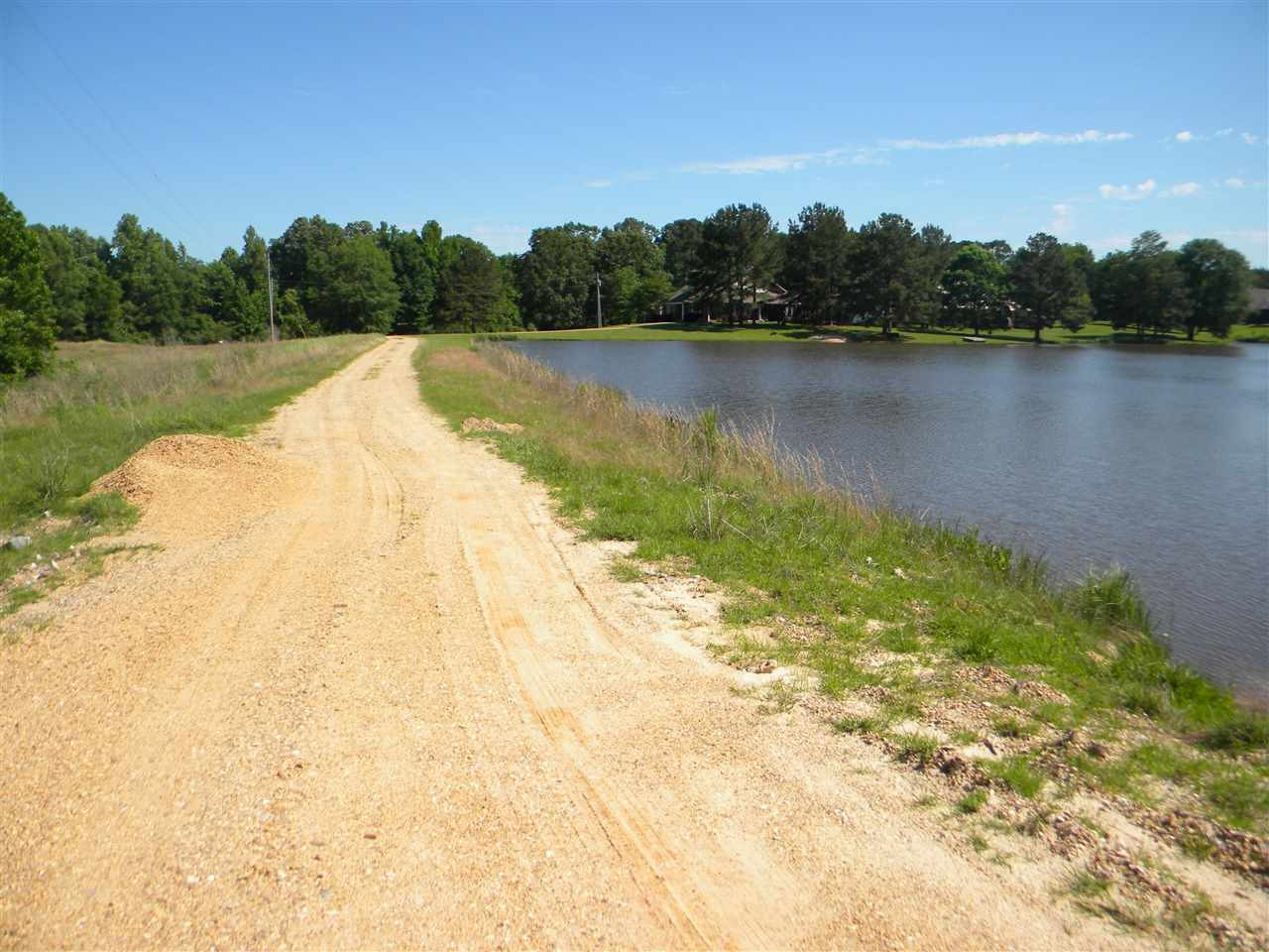 0 Limestone Cove Terry, MS 39170 - Photo 3 of 4 Photo 3