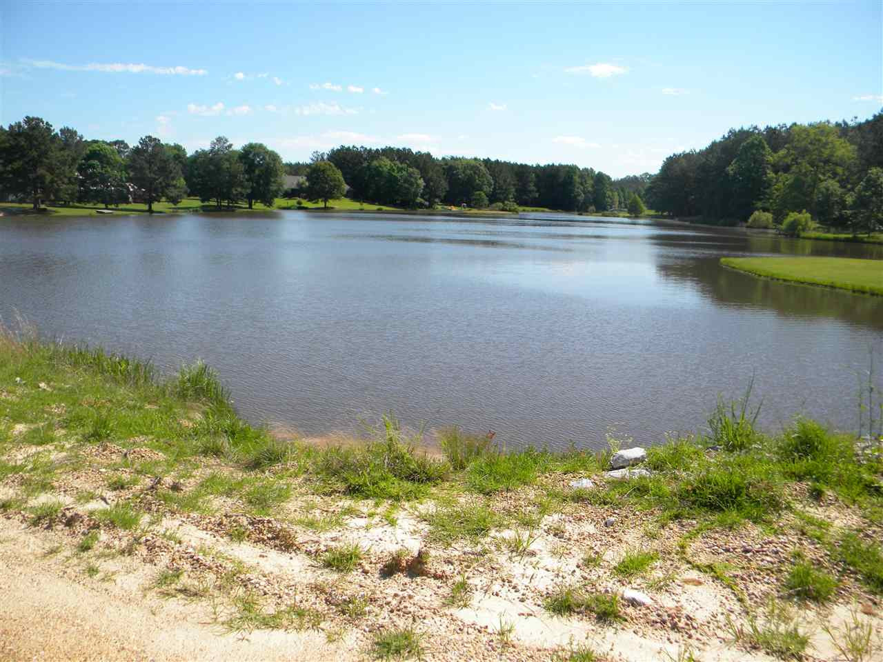 0 Limestone Cove Terry, MS 39170 - Photo 4 of 4 Photo 4