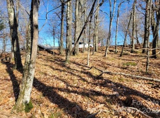 109 Pinnacle Ridge Road Beech Mountain, NC 28604 - Photo 3 of 10 a view of a yard with trees