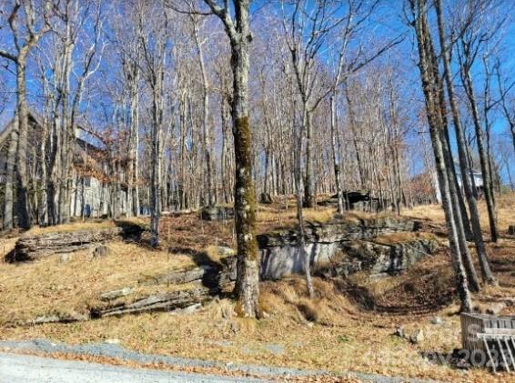 109 Pinnacle Ridge Road Beech Mountain, NC 28604 - Photo 4 of 10 a view of a yard with large trees