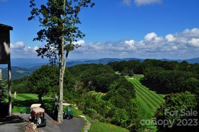 109 Pinnacle Ridge Road Beech Mountain, NC 28604 - Photo 10 of 10 a view of a garden