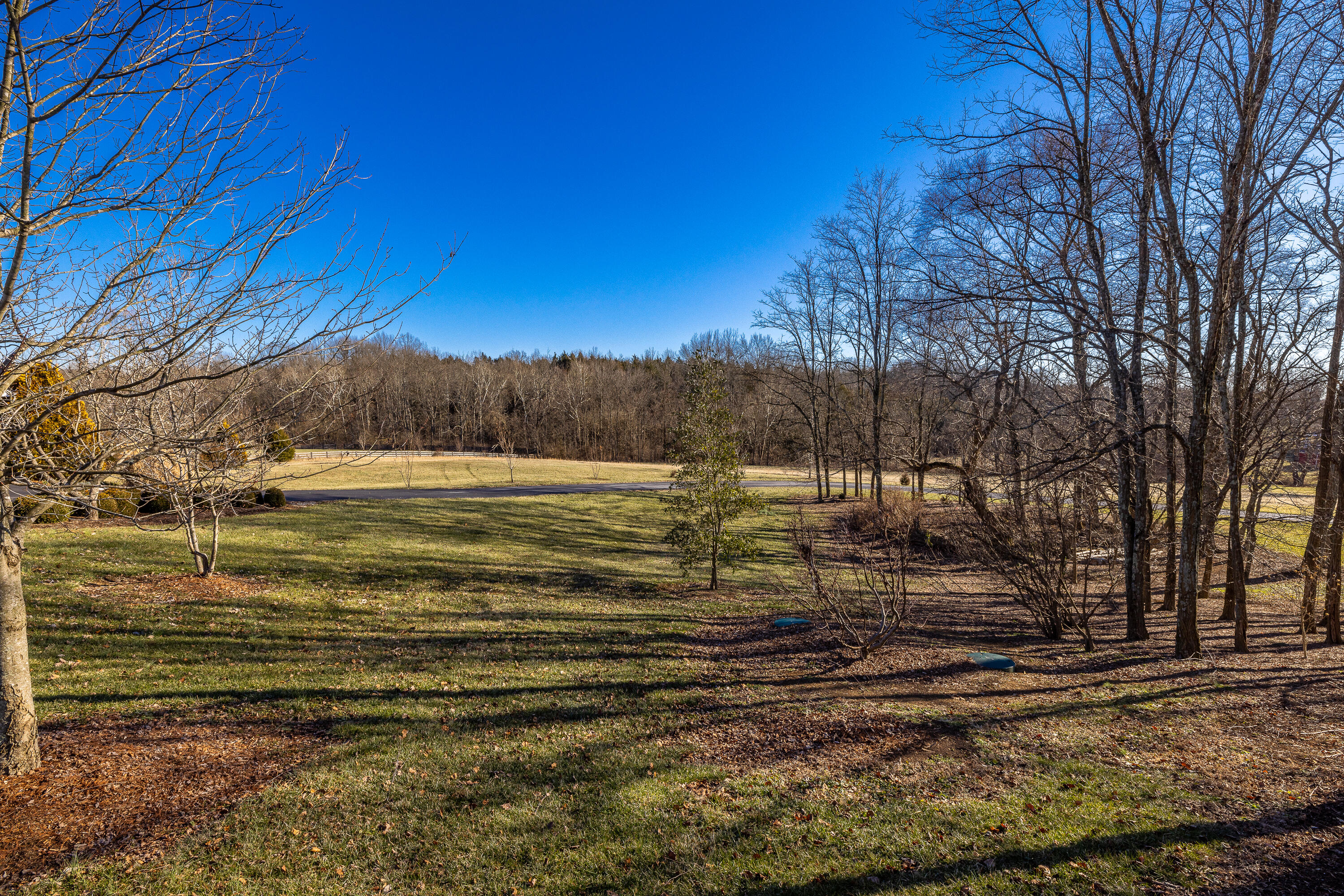 1101 Locust Fork Road Stamping Ground, KY 40379 - Photo 68 of 78 4-32