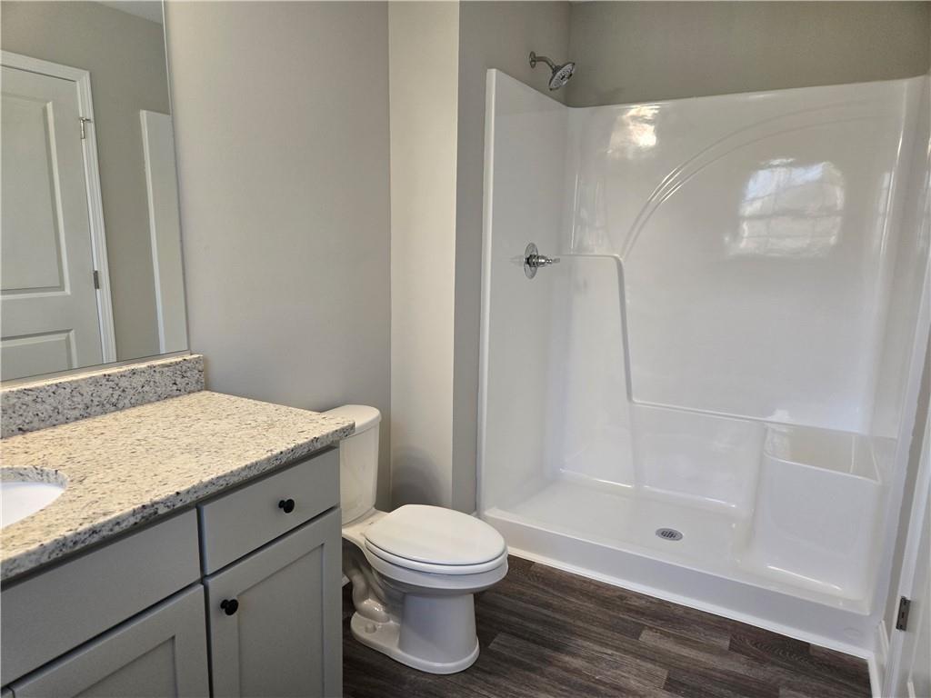 2970 Cannon Bridge Road Demorest, GA 30535 - Photo 29 of 36 a bathroom with a granite countertop sink a toilet and shower