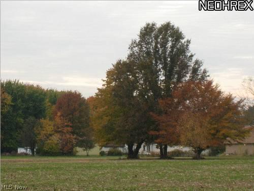 35901 Riegelsberger Road Avon, OH 44011 - Photo 9 of 10 Gallery Image 9
