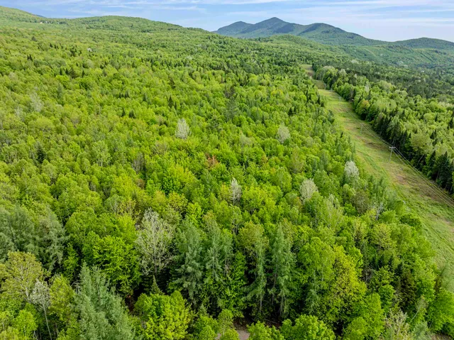 $85,000 | Lot 8 Off Us Route 3, North Stratford, NH 03590