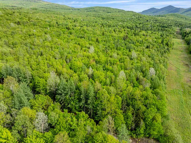 $85,000 | Lot 8 Off Us Route 3, North Stratford, NH 03590