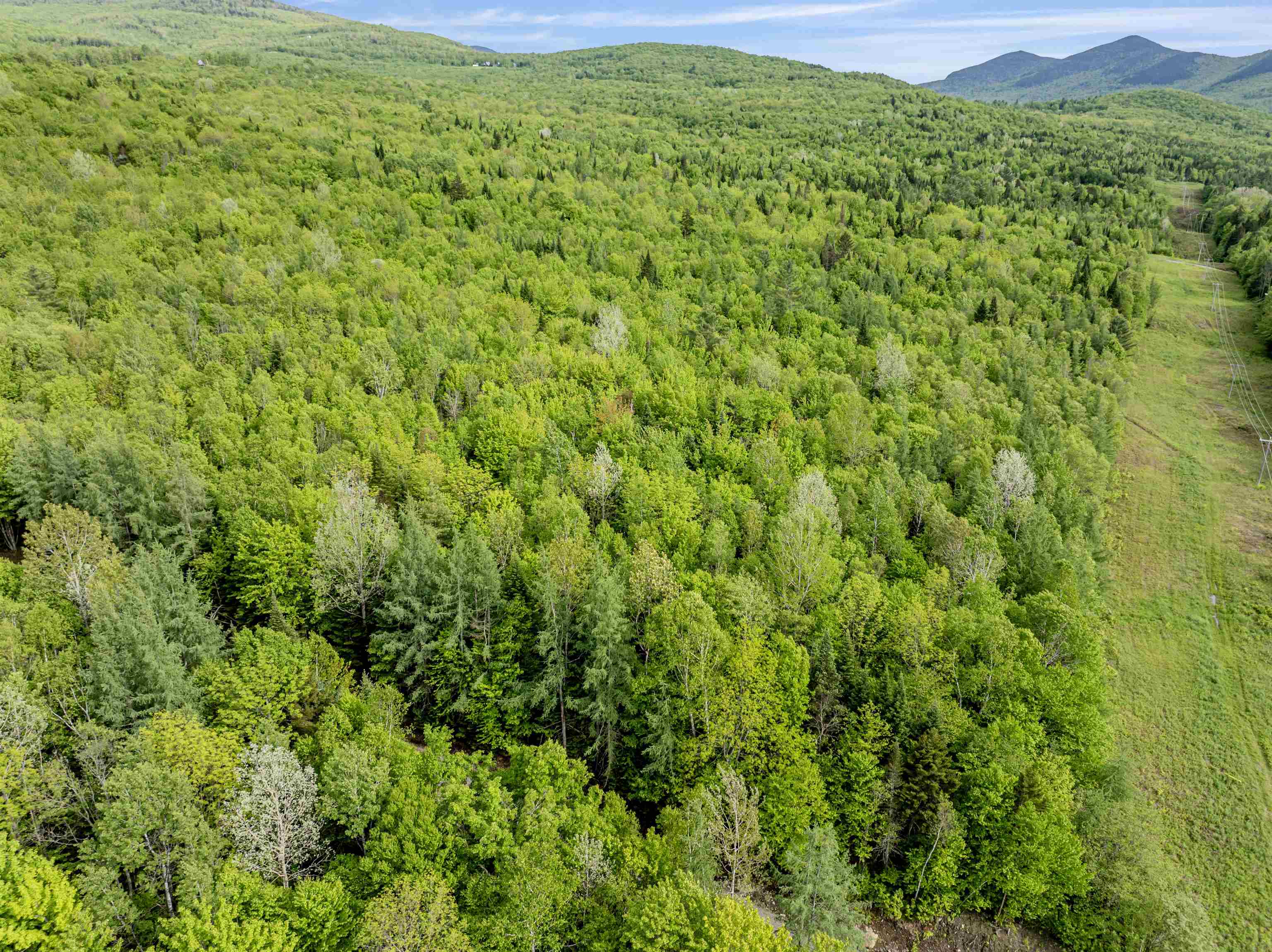 Lot 8 Colburn Road Colebrook, NH 03576 - Photo 4 of 17