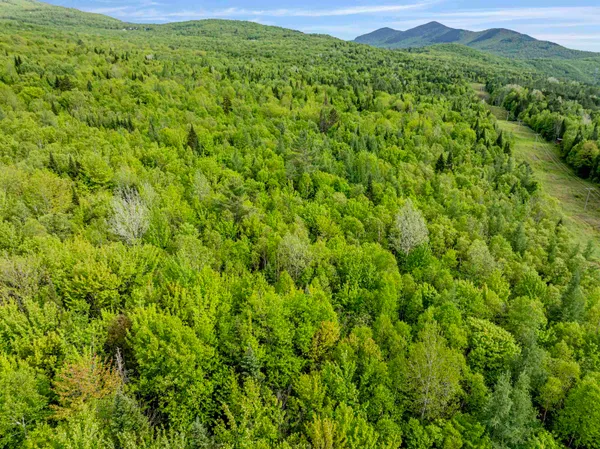 $85,000 | Lot 8 Colburn Road, Colebrook, NH 03576