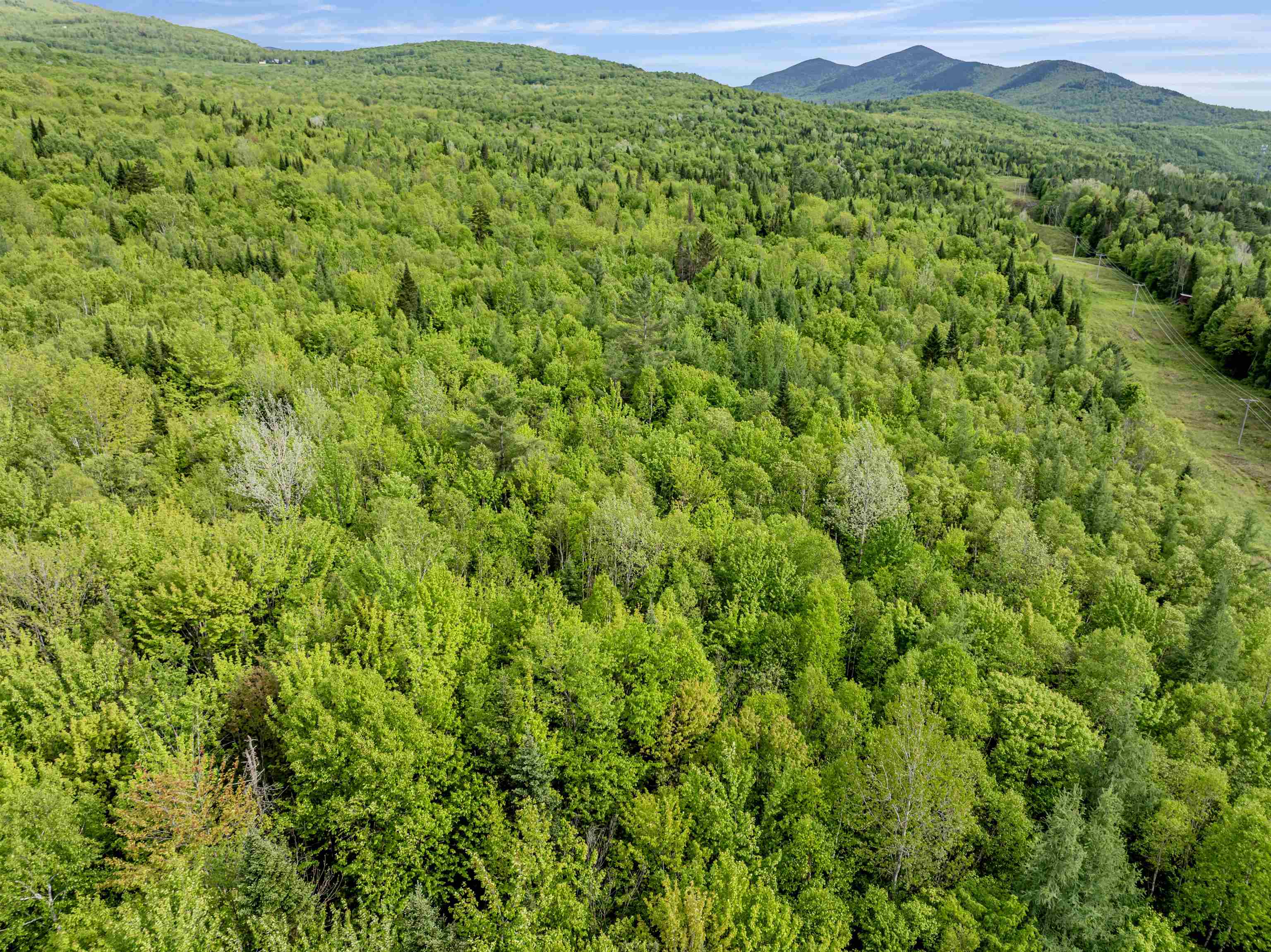 Lot 8 Colburn Road Colebrook, NH 03576 - Photo 5 of 17