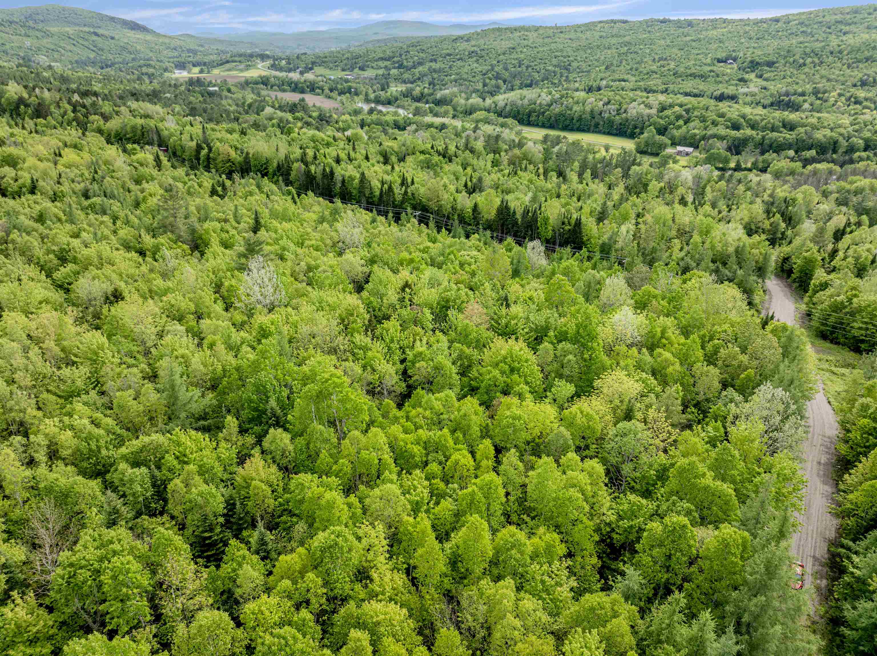 Lot 8 Colburn Road Colebrook, NH 03576 - Photo 8 of 17