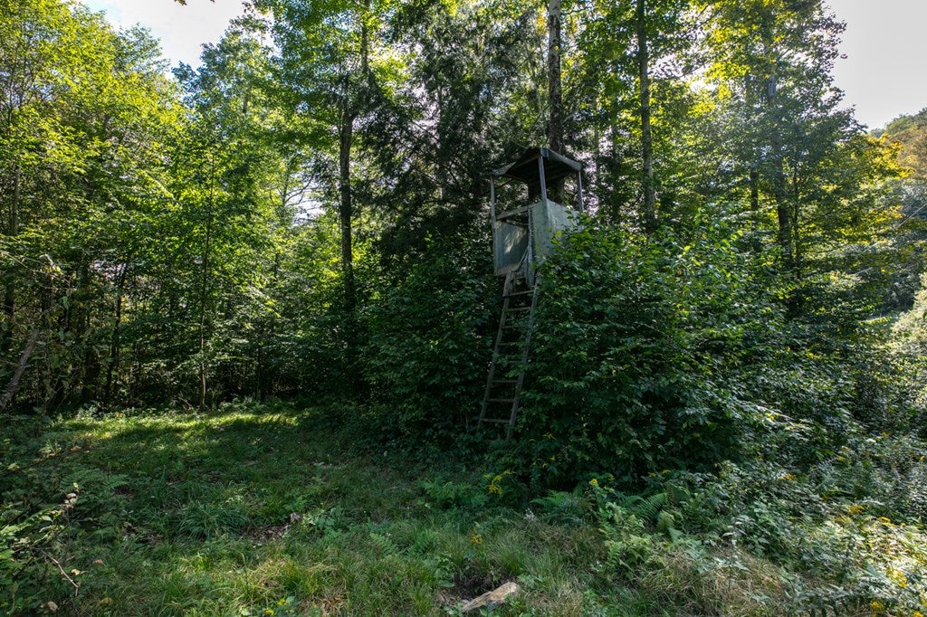 91 South Elk Run Road Wellsboro, PA 16901 - Photo 73 of 75 Gallery Image 73