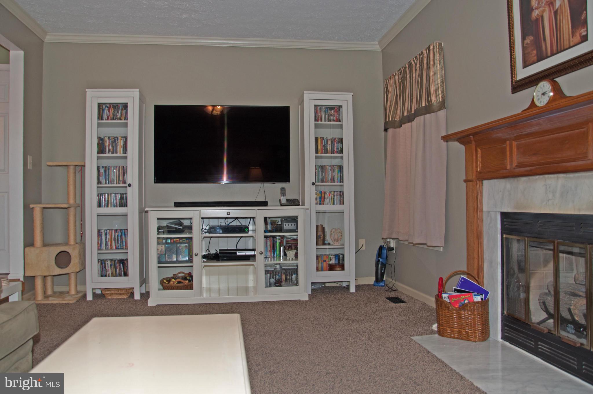 111 Alpine Meadow Road Winchester, VA 22602 - Photo 11 of 19 Family Room