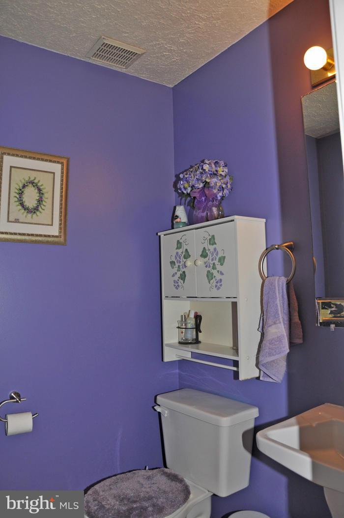 111 Alpine Meadow Road Winchester, VA 22602 - Photo 4 of 19 Bath