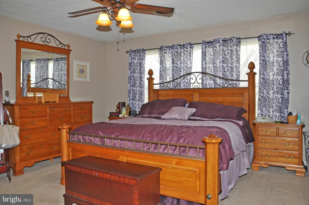 111 Alpine Meadow Road Winchester, VA 22602 - Photo 7 of 19 Bedroom (Master)