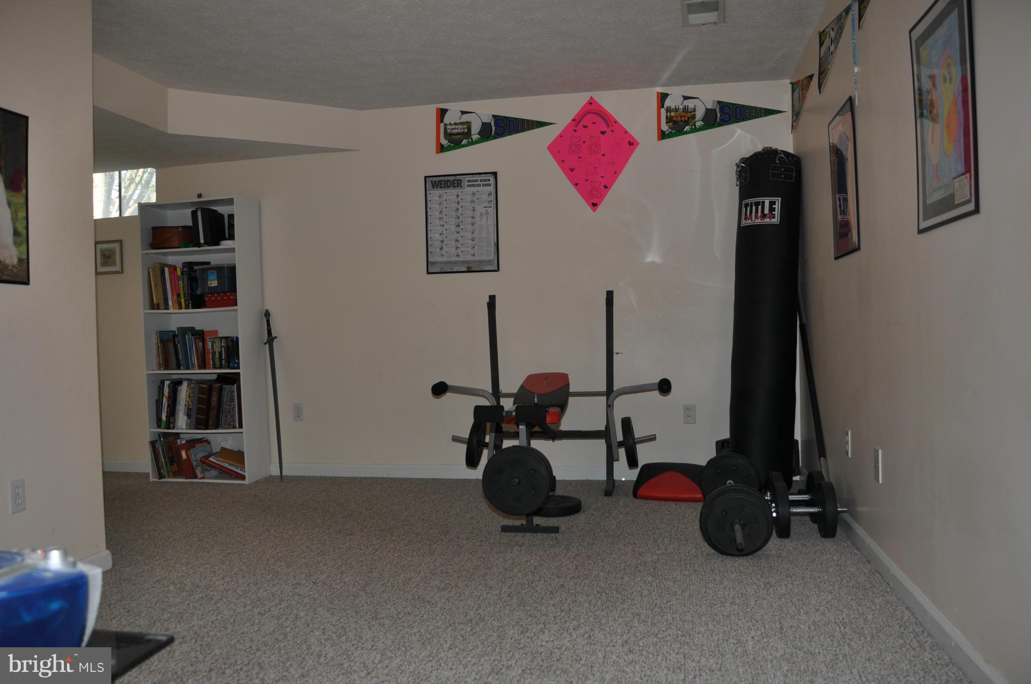 111 Alpine Meadow Road Winchester, VA 22602 - Photo 8 of 19 Basement