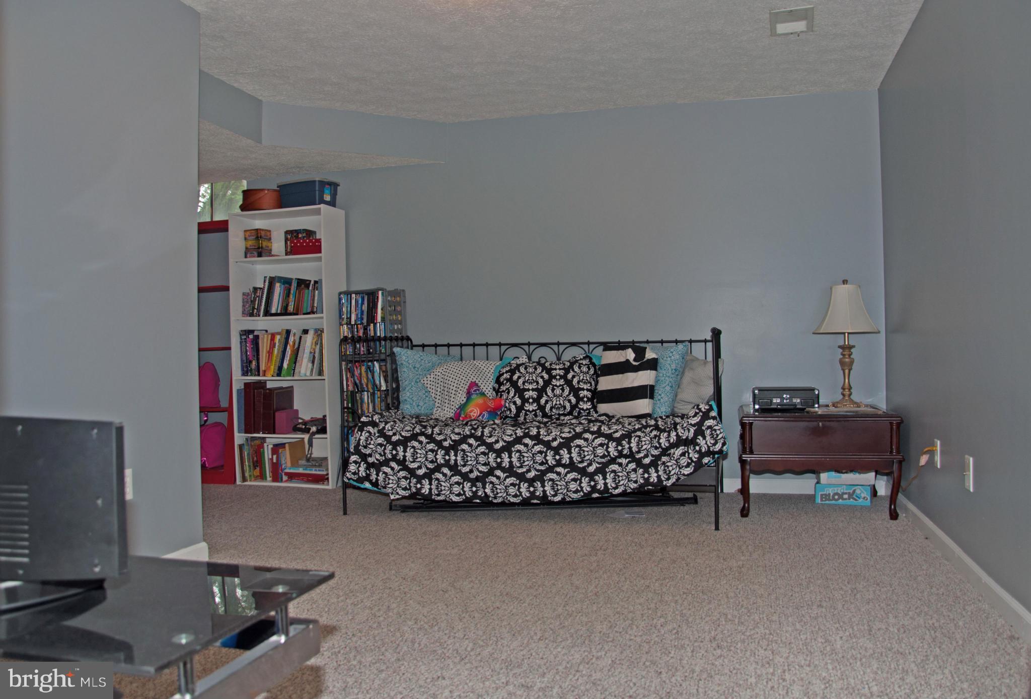 111 Alpine Meadow Road Winchester, VA 22602 - Photo 9 of 19 Basement
