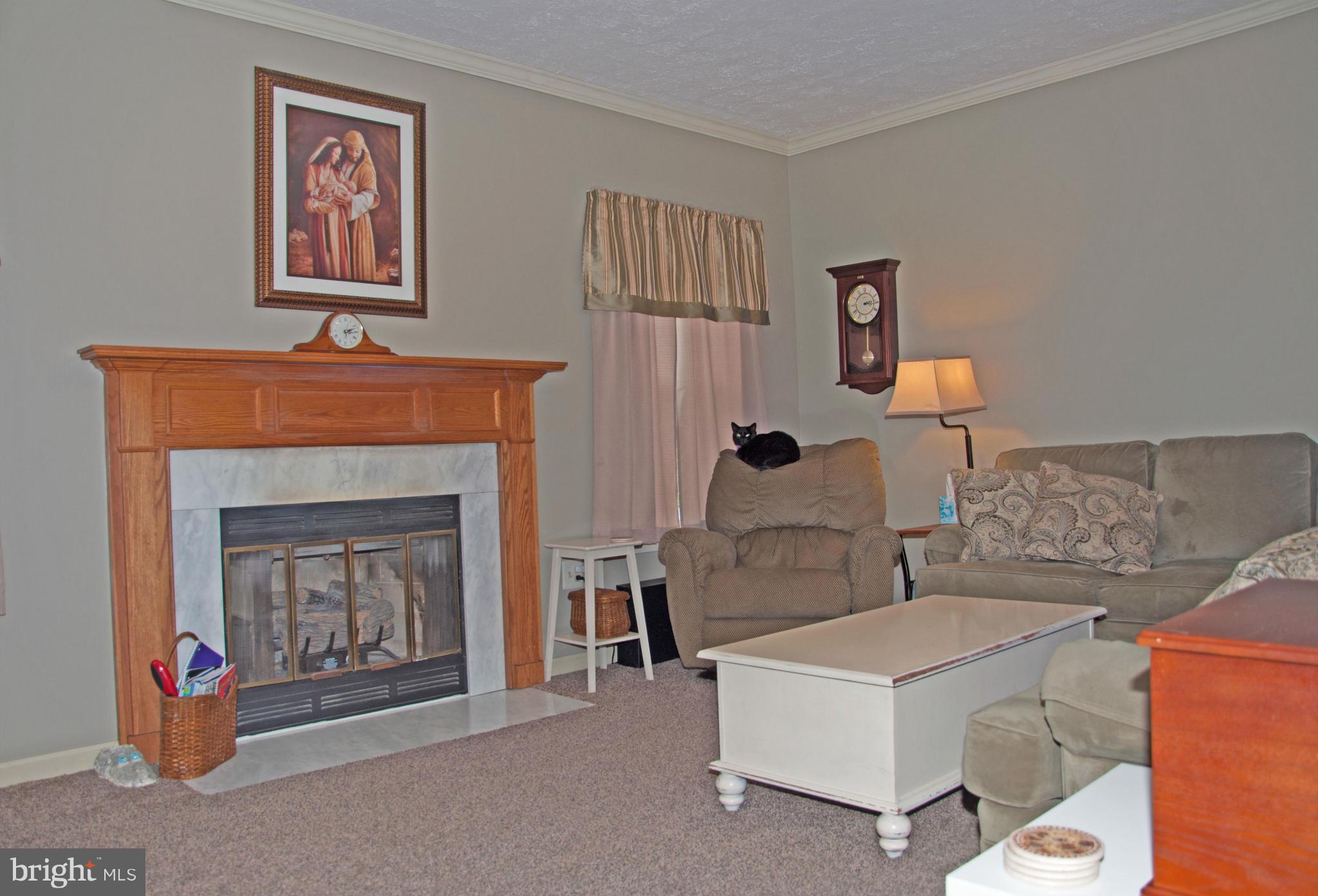 111 Alpine Meadow Road Winchester, VA 22602 - Photo 10 of 19 Family Room