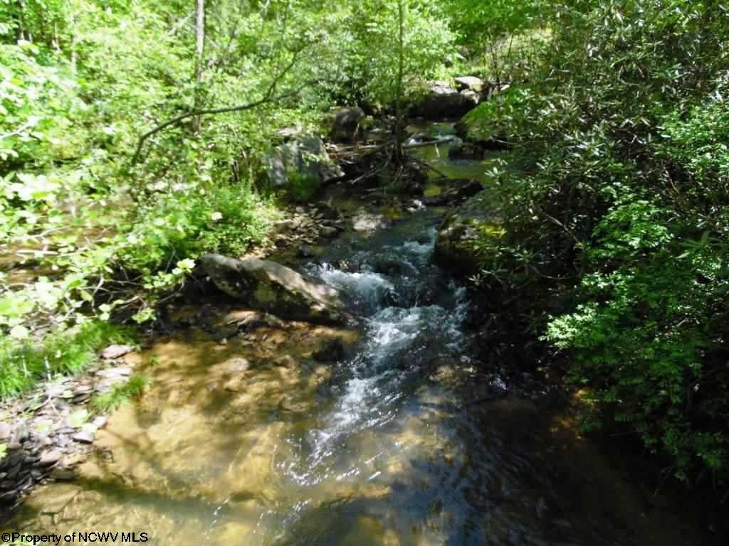 774 Gaines Road Rock Cave, WV 26234 - Photo 11 of 18 Gallery Image 11