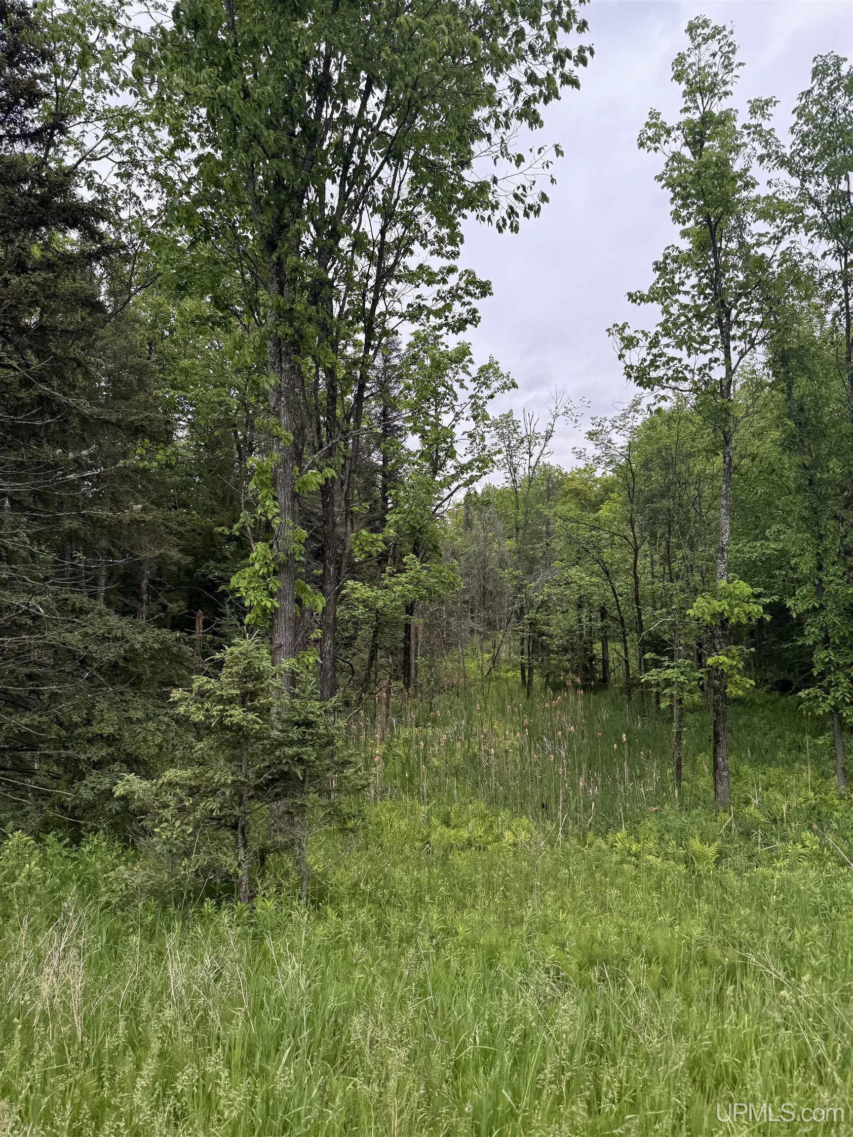 M67 Rd Trenary Mi 49816 Road Chatham, MI 49816 - Photo 11 of 12