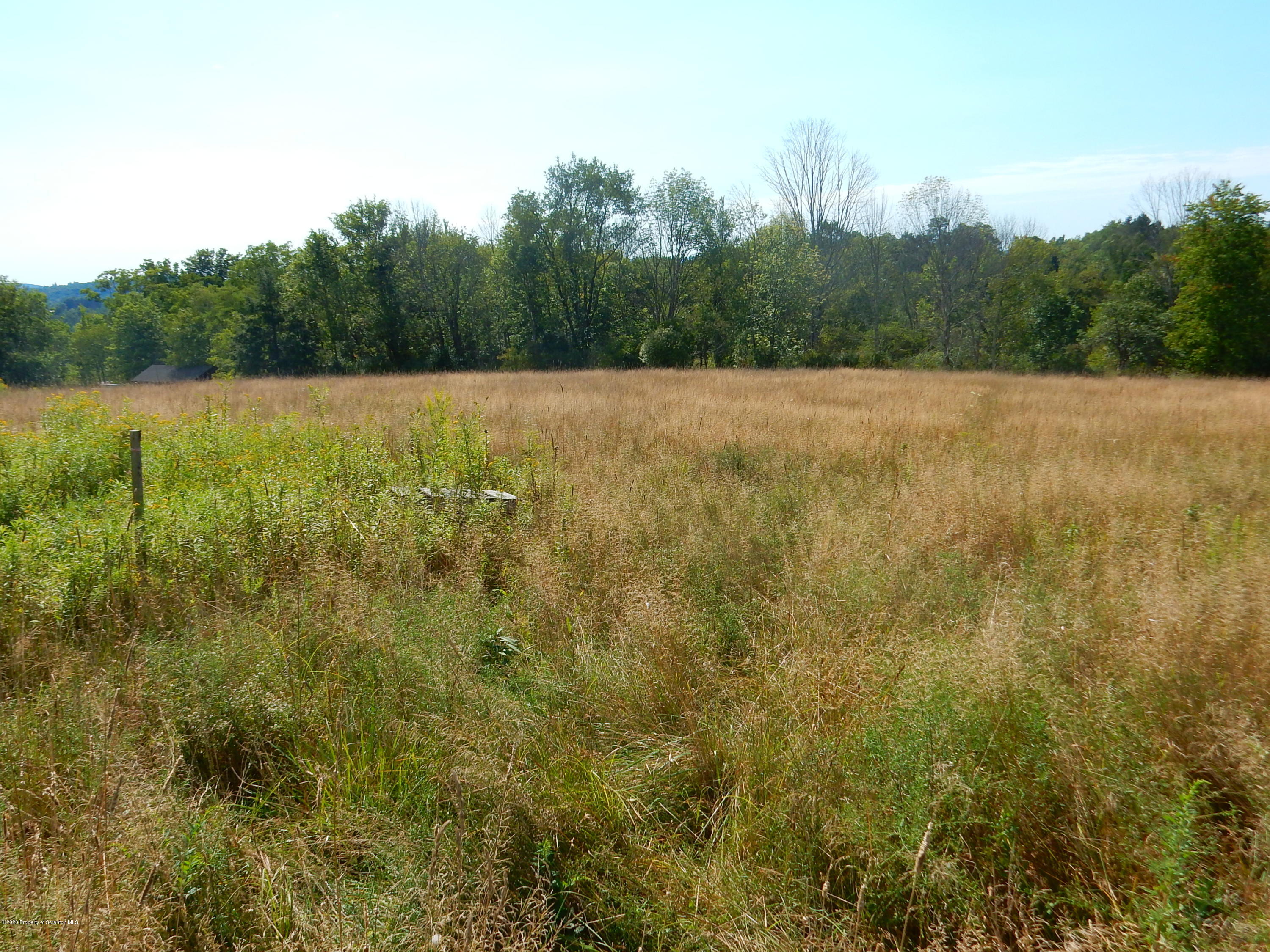 Lot 1 Newcomb Road Factoryville, PA 18419 - Photo 1 of 6 DSCN6302