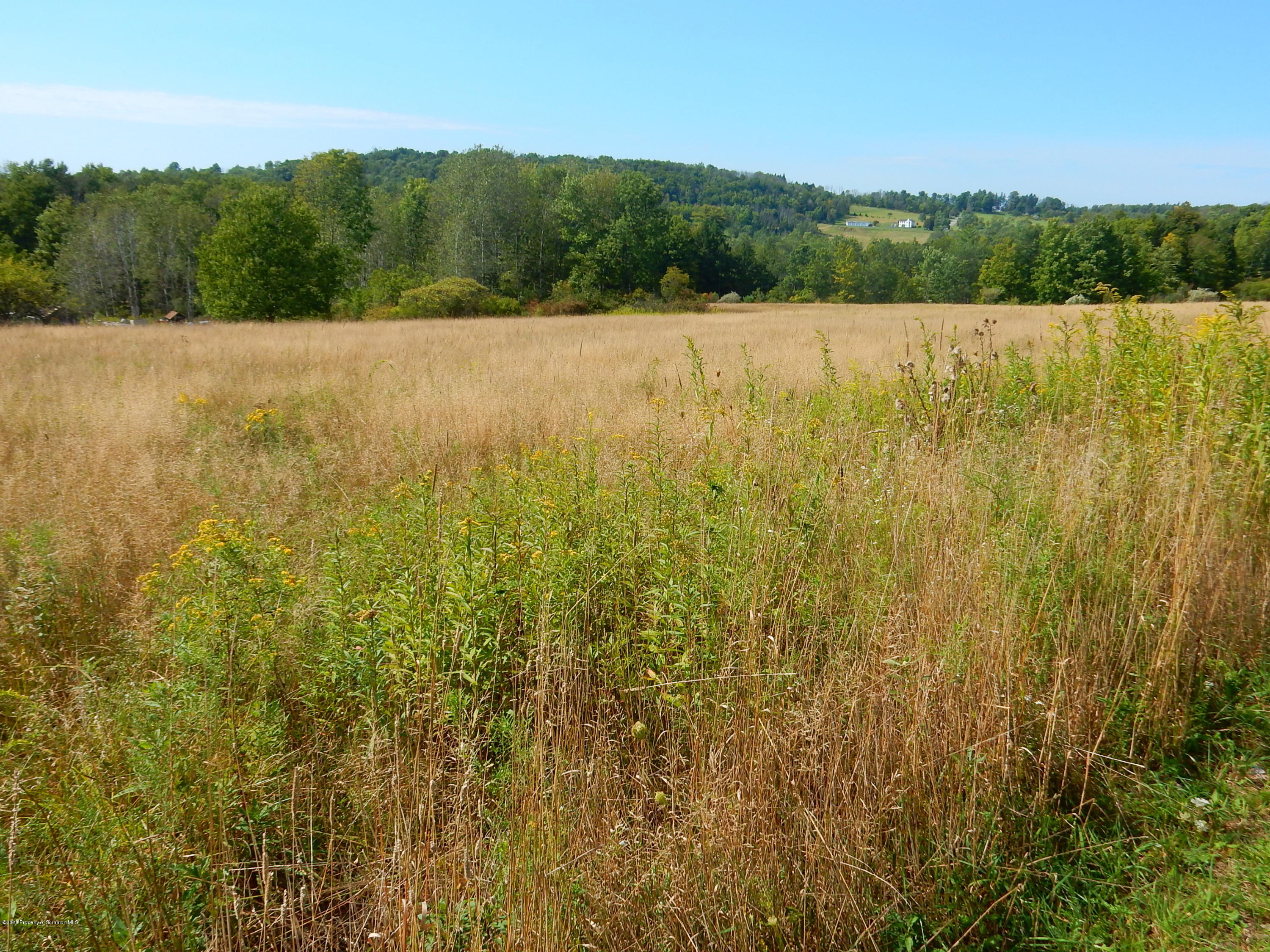 Lot 1 Newcomb Road Factoryville, PA 18419 - Photo 3 of 6 DSCN6304
