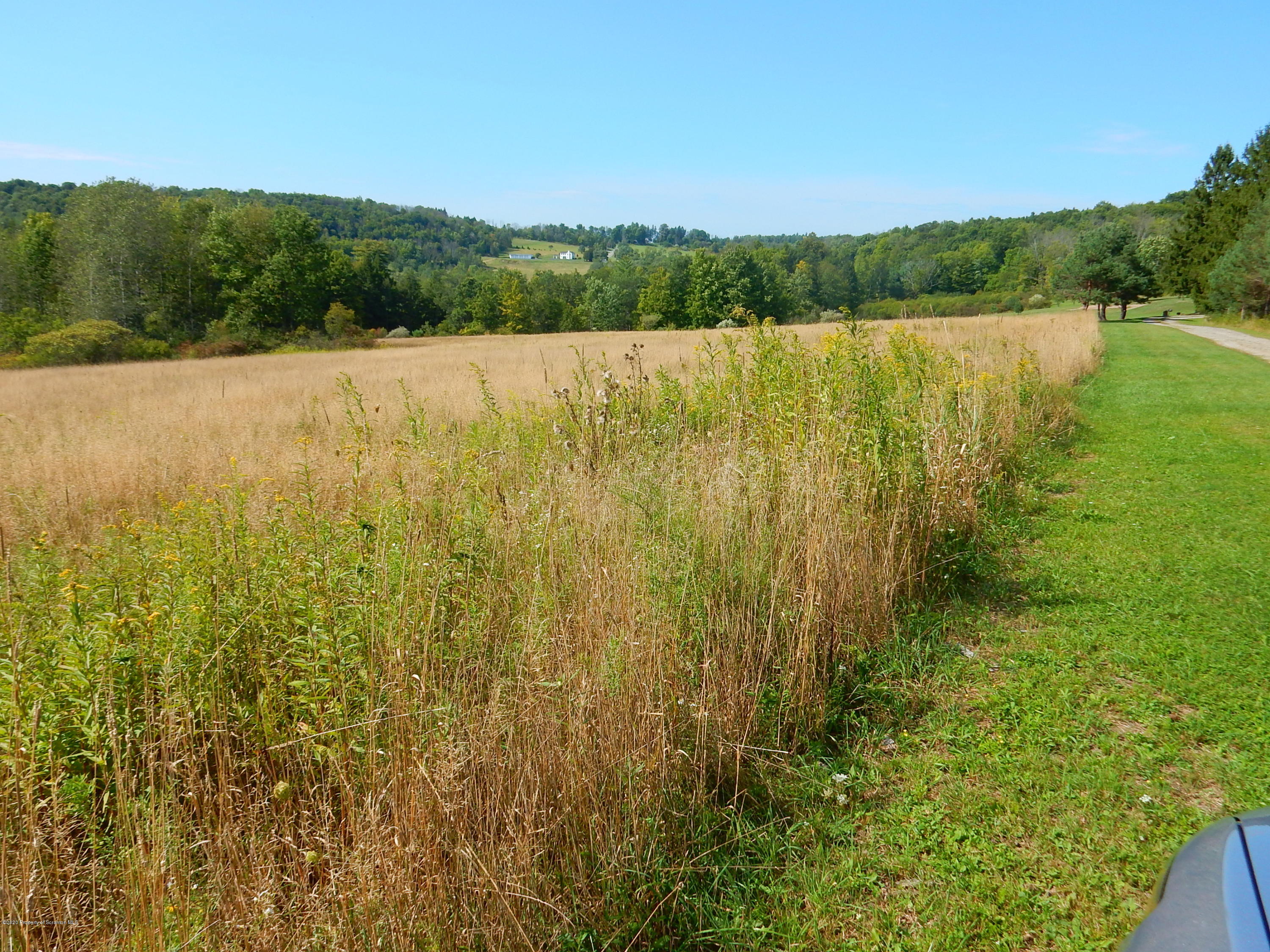Lot 1 Newcomb Road Factoryville, PA 18419 - Photo 4 of 6 DSCN6305