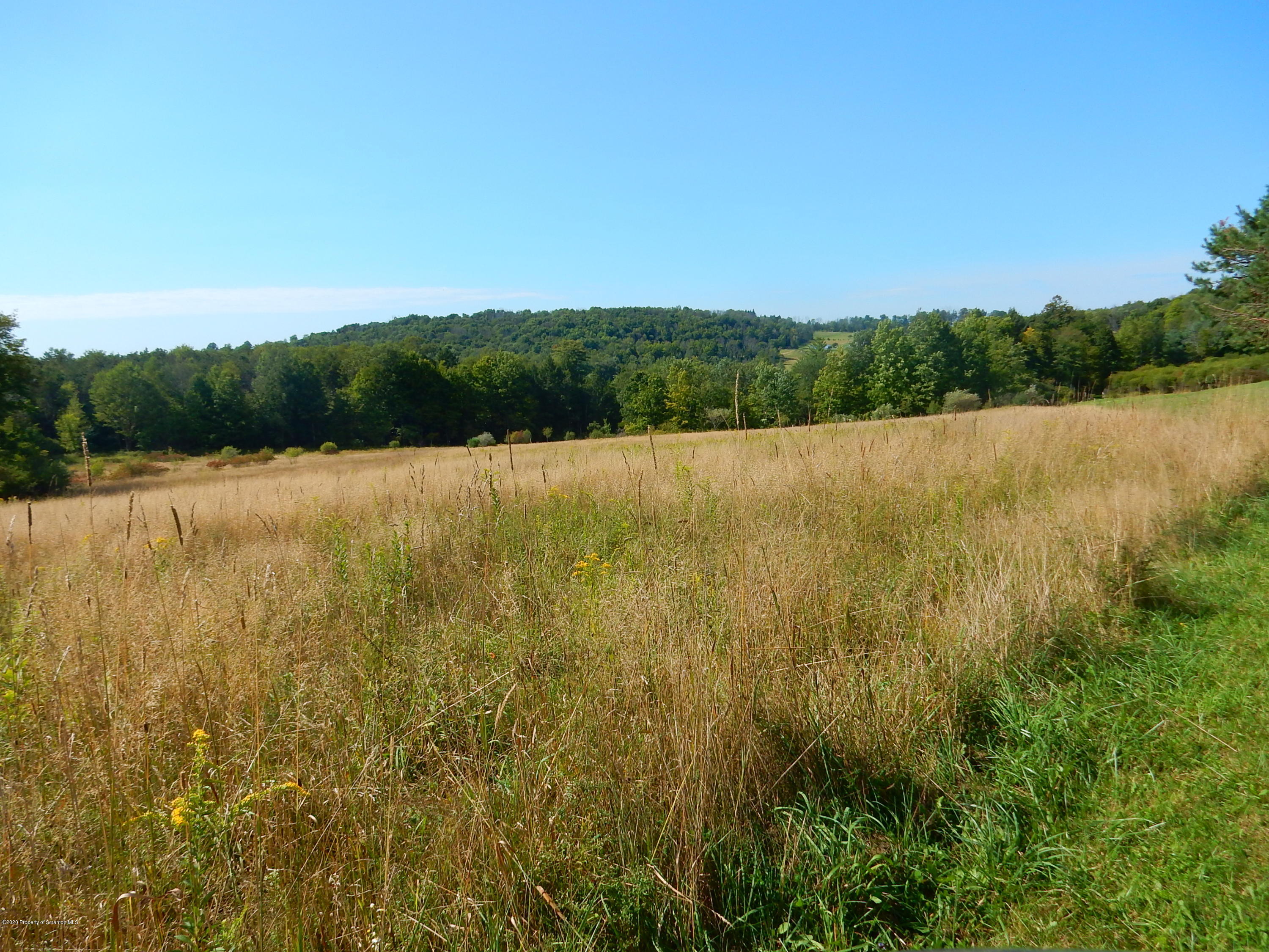 Lot 1 Newcomb Road Factoryville, PA 18419 - Photo 5 of 6 DSCN6307